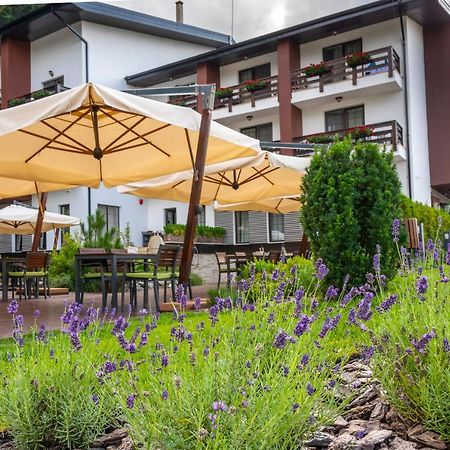 Piatra Pinului Ski & Spa Gura Humorului Exterior photo